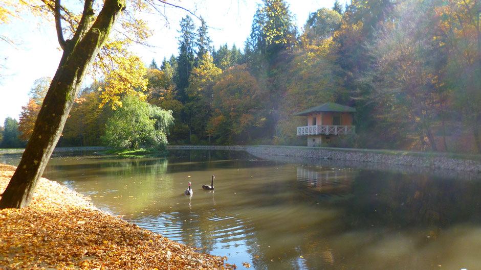 Herzog- oder Talmühlweiher mit Badehaus im Schlosspark Fantaisie _ an ihm führt der Talweg entlang