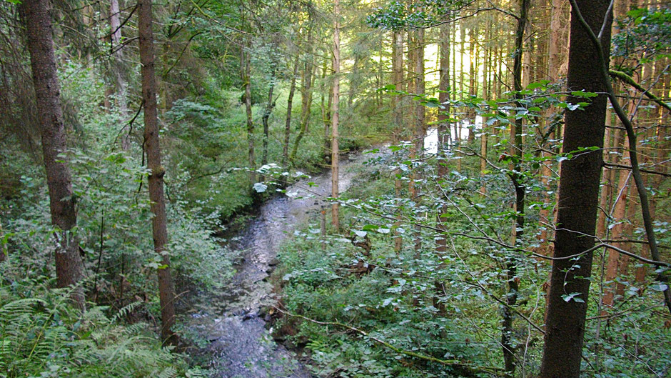 Auf dem Jean-Paul-Weg, durch das wildromantische Ölschnitztal