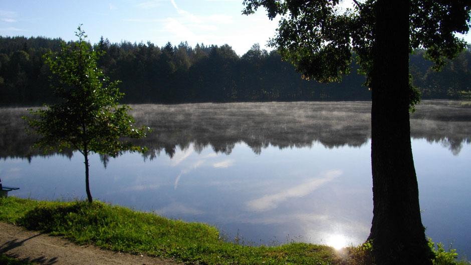 Morgenstimmung am Nagler See