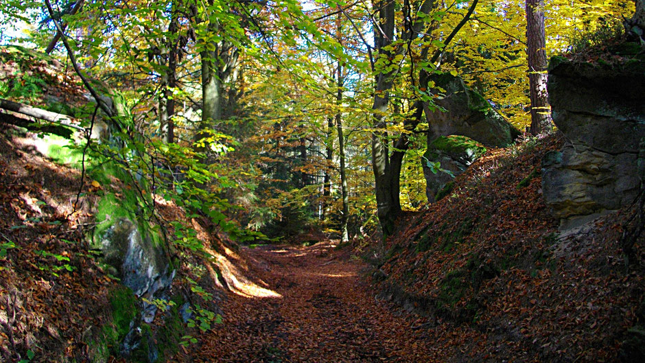 Arkadienweg Oberwaiz - Teufelsloch - Waldhütte - Neustädtlein (superschön!)