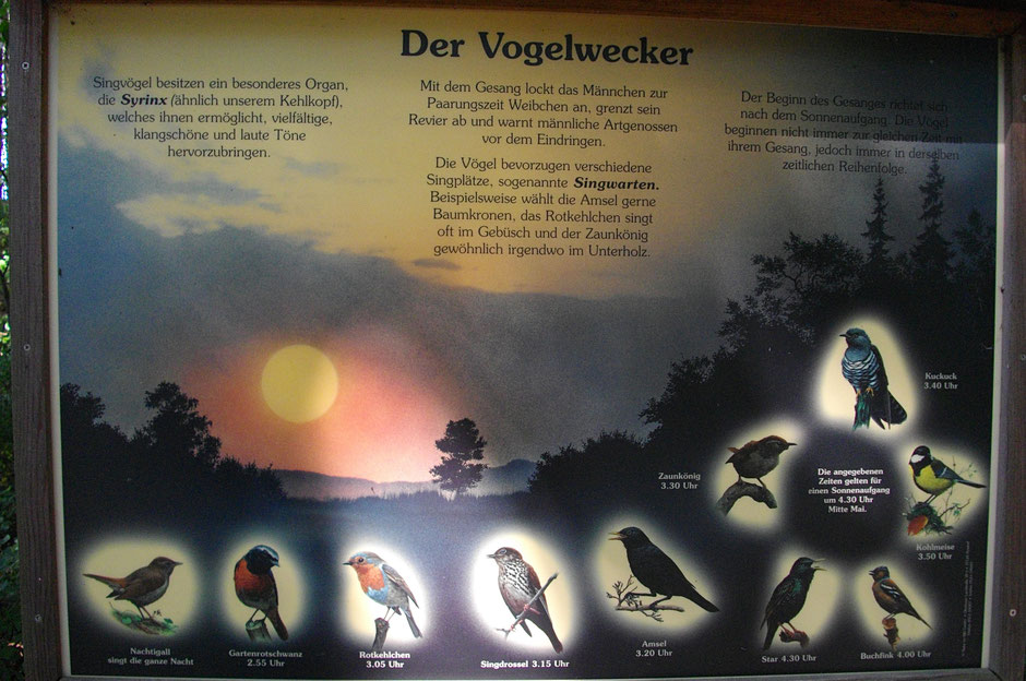 Der Vogelwecker - Naturlehrtafel bei Wunsiedel