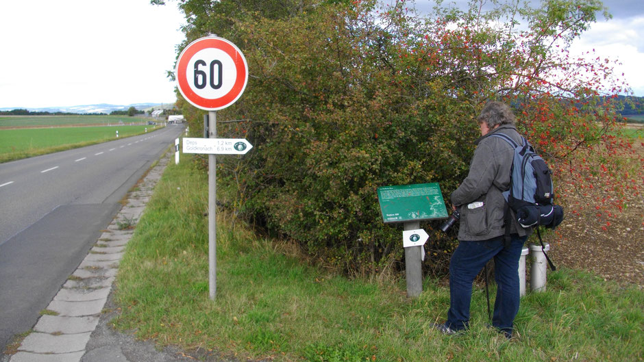 Auf dem Jean-Paul-Weg am Bindlacher Berg – Stationstafel 100 »Am Bindlacher Berg« 