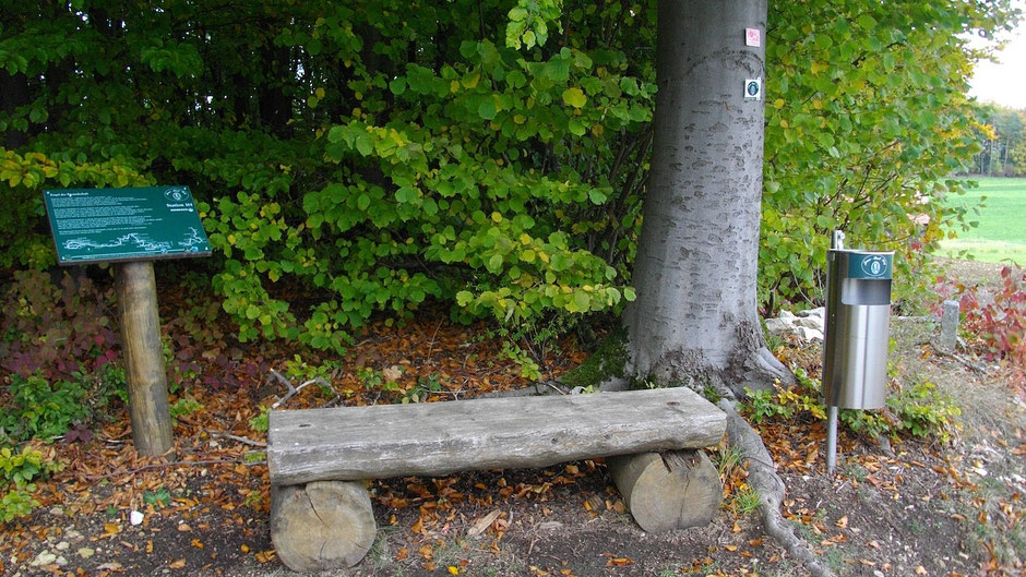 Auf dem Jean-Paul-Weg, (die letzte) Stationstafel 161 "Engel der Freundschaft" kur vor Kleinhül
