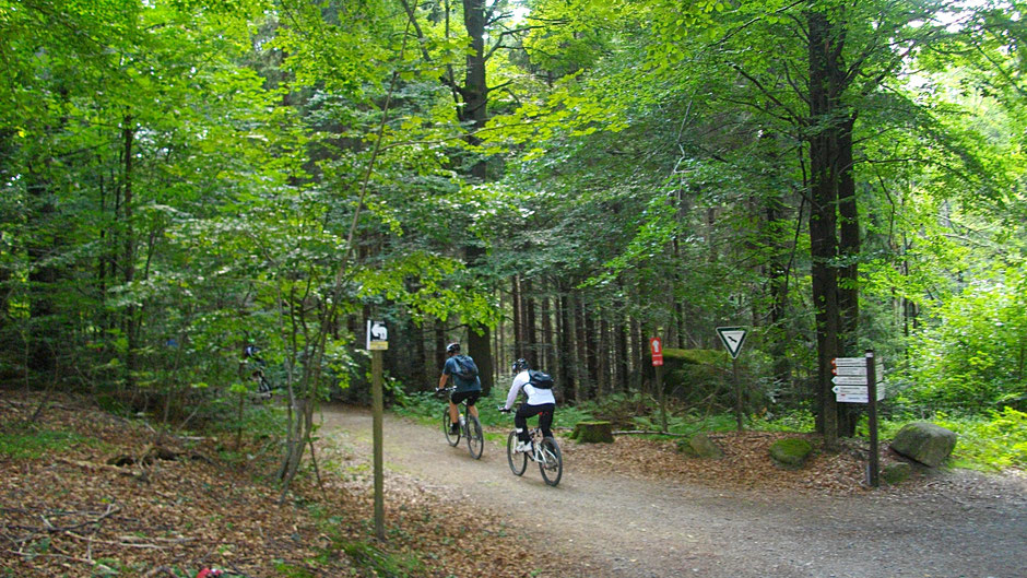 Am Großen Waldstein
