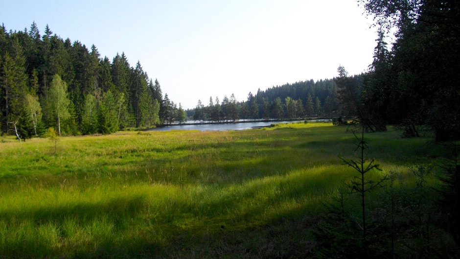 Bohlenweg mit Blick auf den Fichtelsee