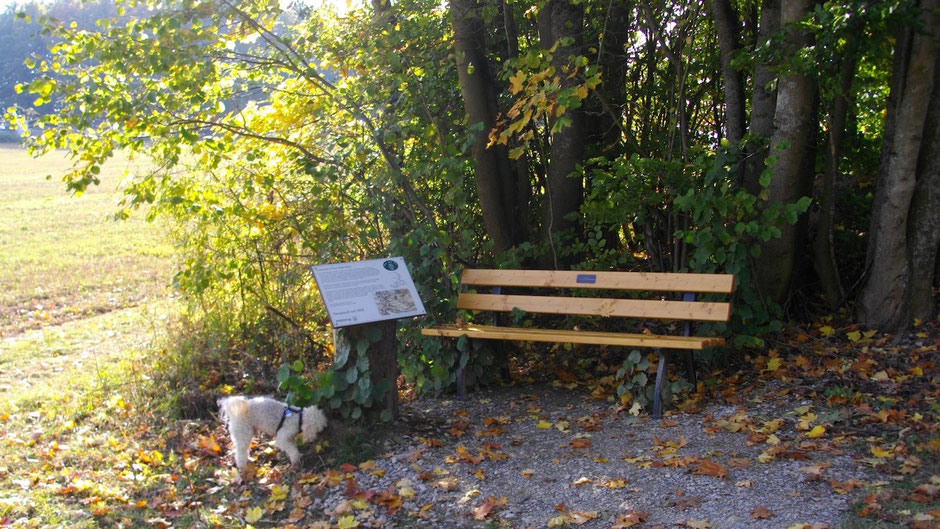 Auf dem Jean-Paul-Weg, Landschaftstafel 28 "Sanspareil um 1800" am Parkplatz Sanspareil