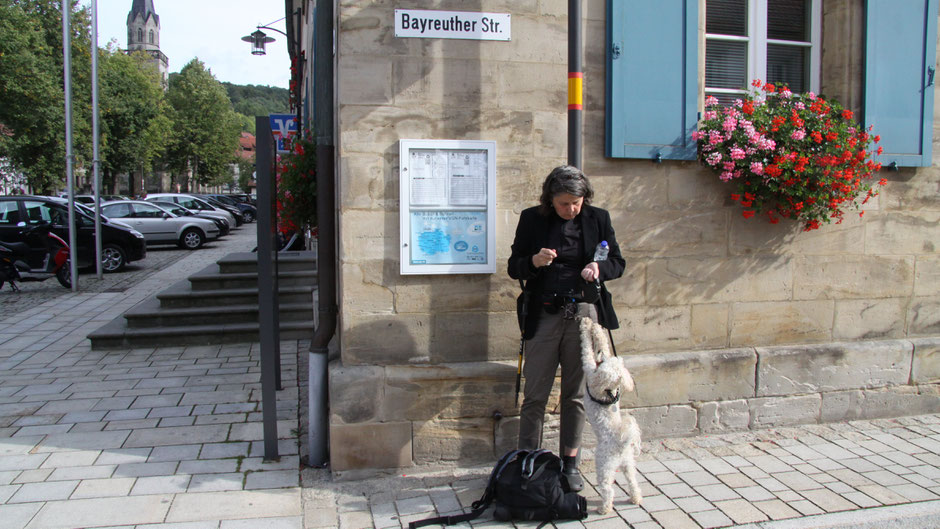 An der Bushaltestelle in Goldkronach spricht Fidel wieder zu mir und meint: »Darf ich immer dabei sein? Ich meine, eigentlich richtig immer?«