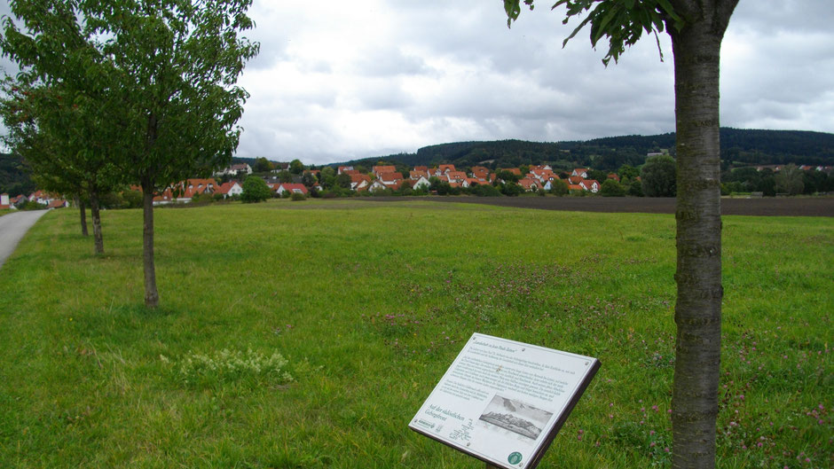 Auf dem Jean-Paul-Weg, 18. Tafel "Landschaft zu Jean Pauls Zeiten" mit dem Titel "Auf der südöstlichen Gebirgsfront", Blick auf Goldkronach