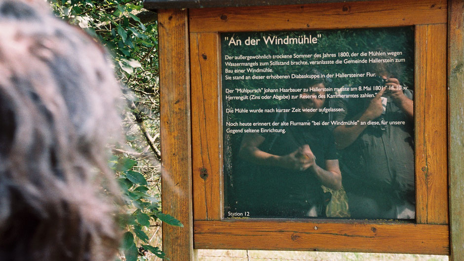 Hallersteiner Rundweg, Stationstafel 12 "An der Windmühle"