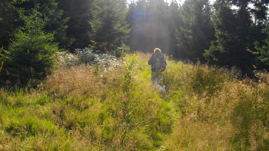 Auf dem Jean-Paul-Weg, Fußpfad vor Sparneck