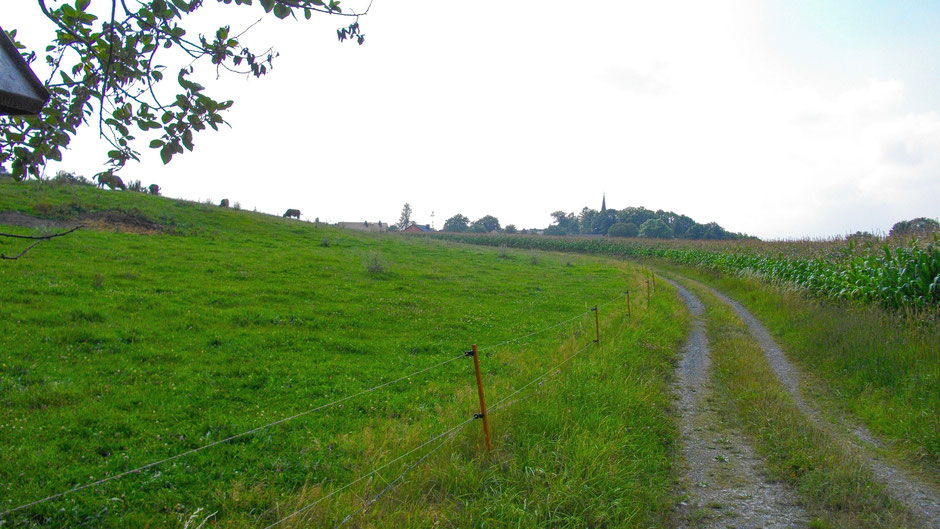 Auf dem Jean-Paul-Weg, Kuhweide vor Hallerstein