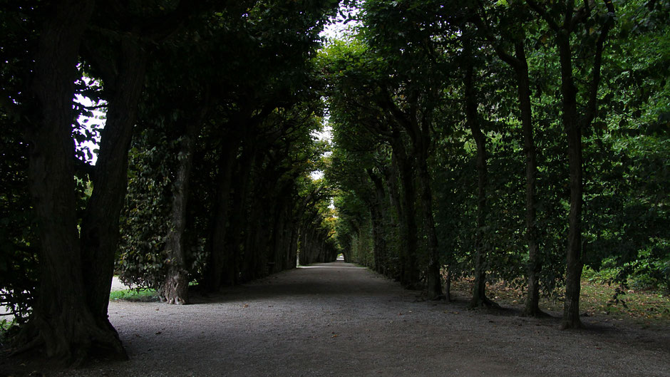 Laubengang Eremitage Bayreuth