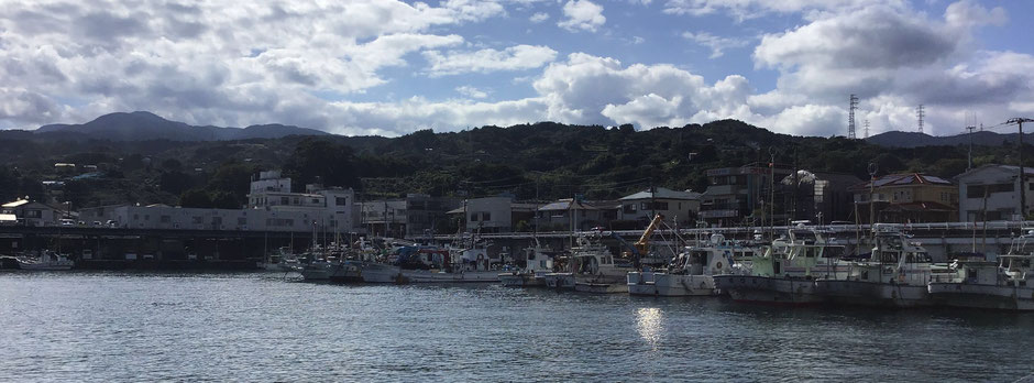 小田原漁港