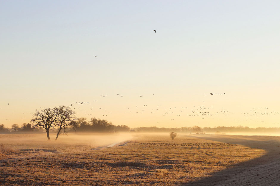 Weite Landschaft mit Morgennebel und Sonnenaufgang – stimmungsvolle Landschaftsfotografie von Malina Bura