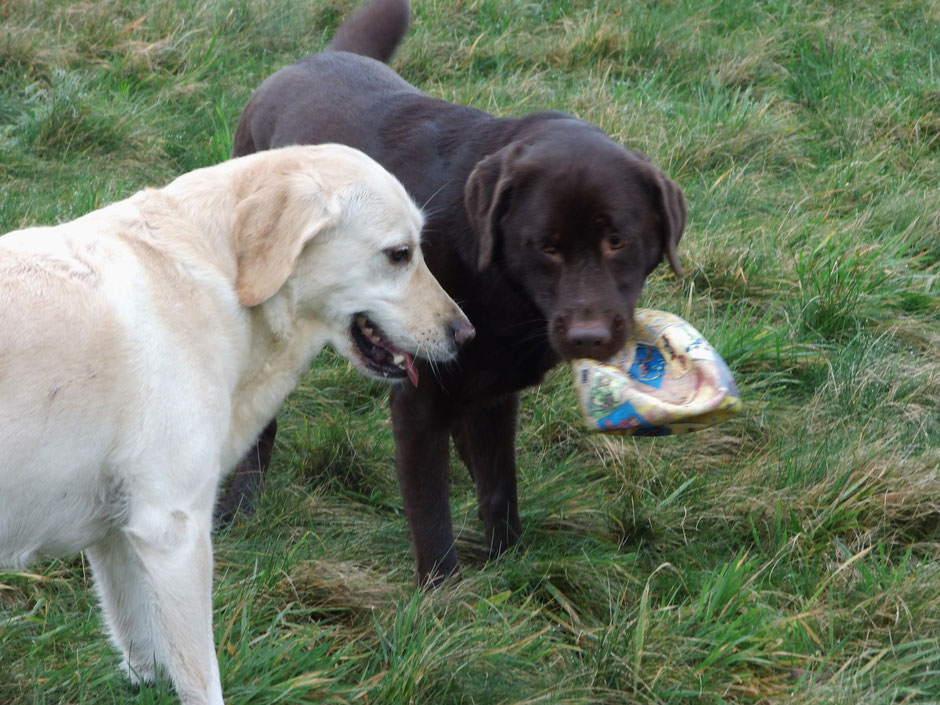 Krümel und Toni mit gefundener Beute