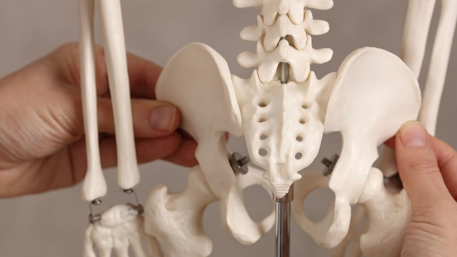 manipulation osteopathie jeremy baio