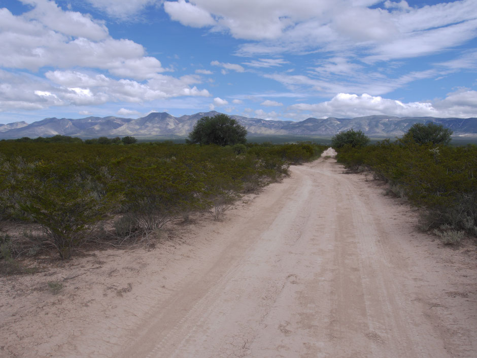 Somewhere in these mountain shapes in the distance lies Real de Catorce