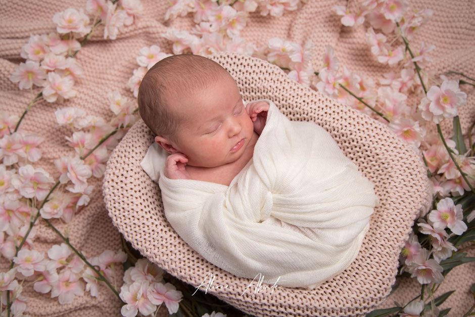 photographe naissance Avesnois Dourlers séance grossesse ou nouveau-né