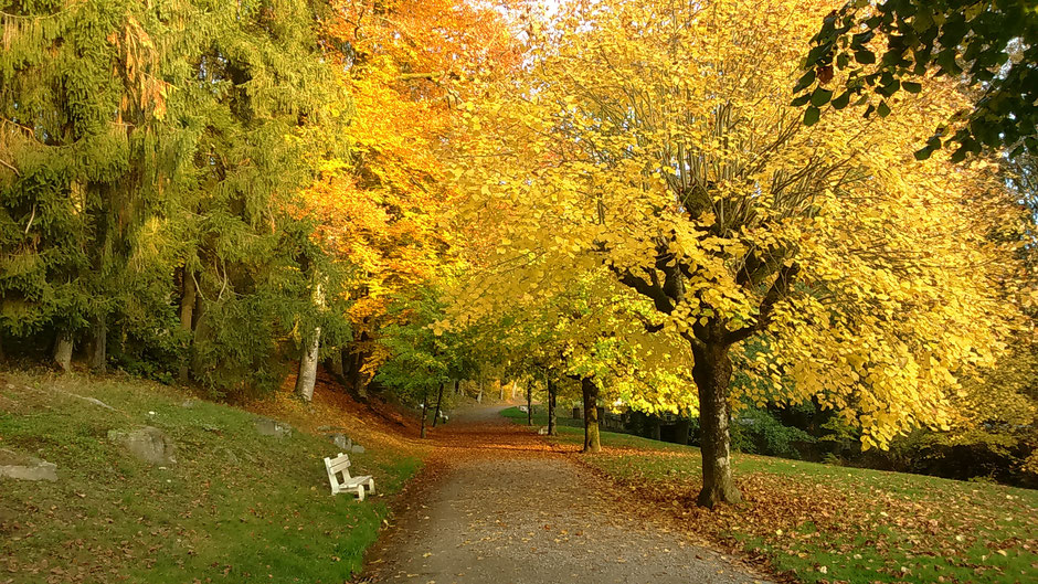 La grande allée d'entrée du Grand Parc thermal en automne (c) Municipalité de LVLB