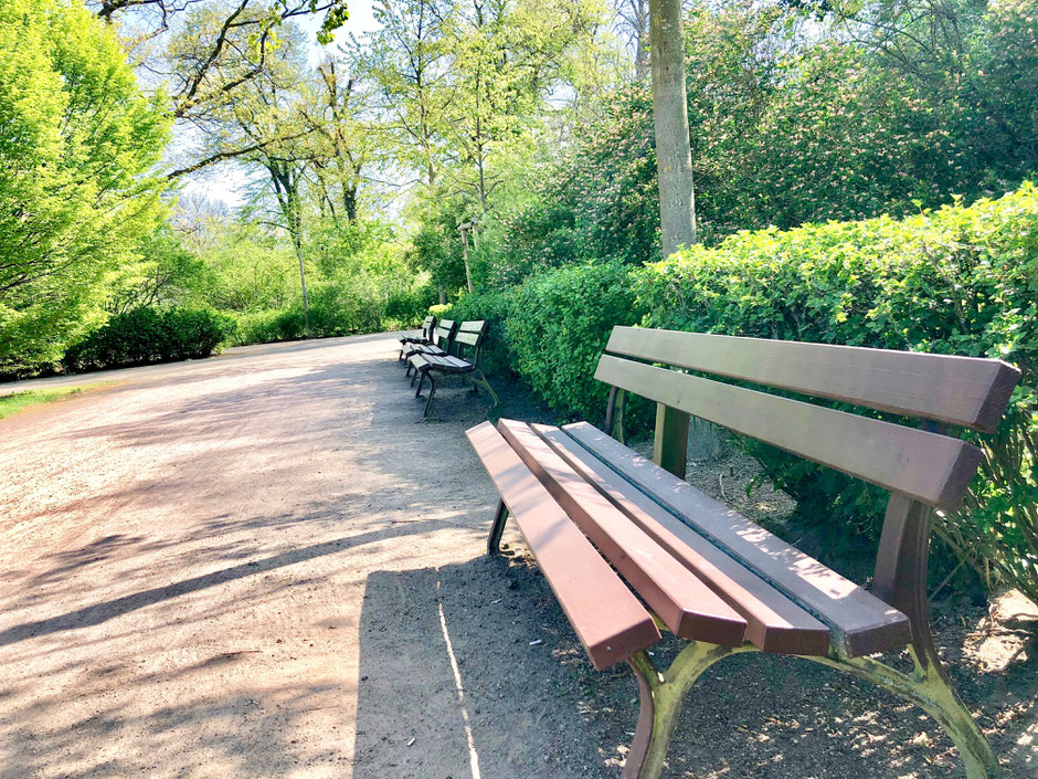 Leipzig Park Clara Zetkin Rosental Friedenspark Grünanlagen