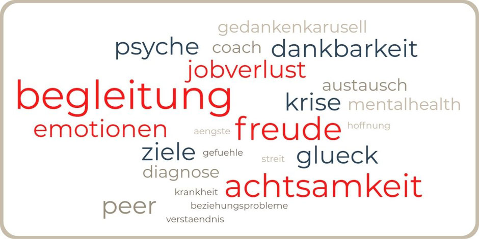 Stephan Roth, Coaching Peer to Peer