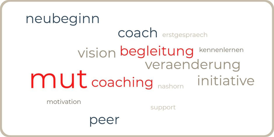 Stephan Roth, Coaching Peer to Peer