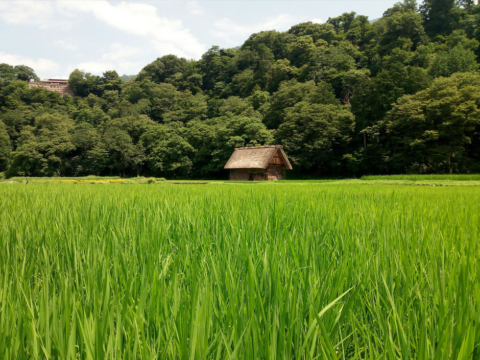 川崎市内ではここまでの空き家や農地はないかもしれませんが