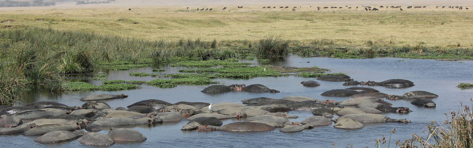 Ngorongoro Nationalpark in Tansania