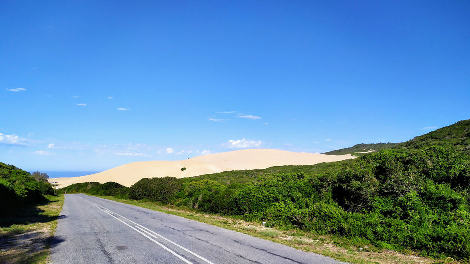 Garden Route Rennradreise mit Equatours / Cape Town Cycle Tour 2027