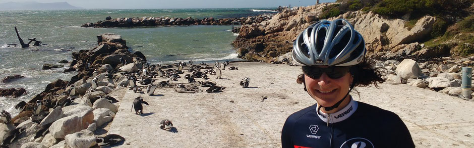 Cape Town Cycle Tour Radveranstaltung 2025 - Traumreise entlang der Garden Route