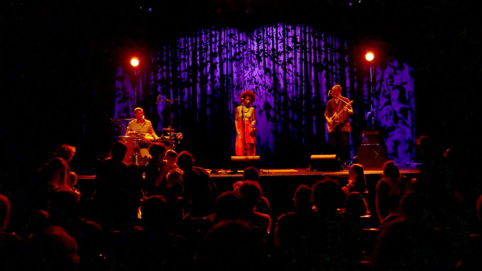 Lien vers la galerie photos du concert