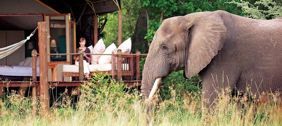 Abercrombie & Kent 100 Club - The Travel Maestro