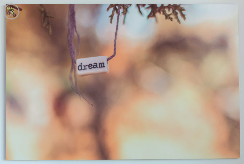 Wandbild Produkttest Sedona Dream Fotofabrik