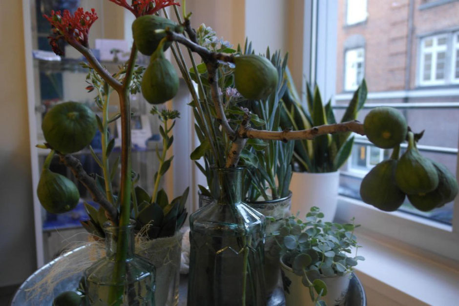 Unsere Sommer-Blumen-Dekoration in der Lounge Juni 2017