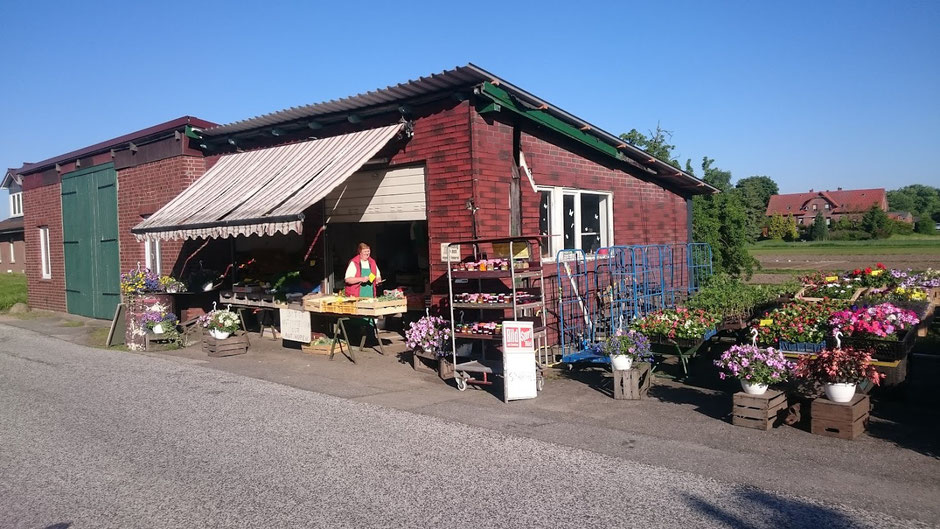 Verkaufsstand im Hinterland.