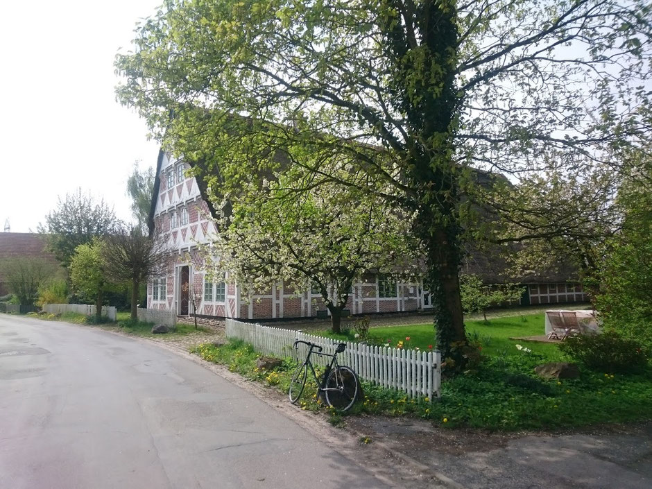 Zwischen Stade und Buxtehude.