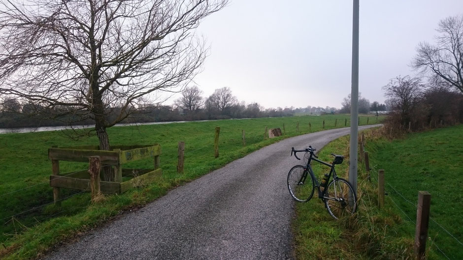 Rennrad, Hamburg, Norwid