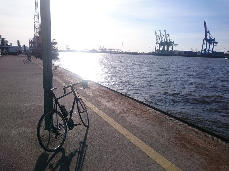 Rennrad; Norwid; Teufelsbrück; Hamburg