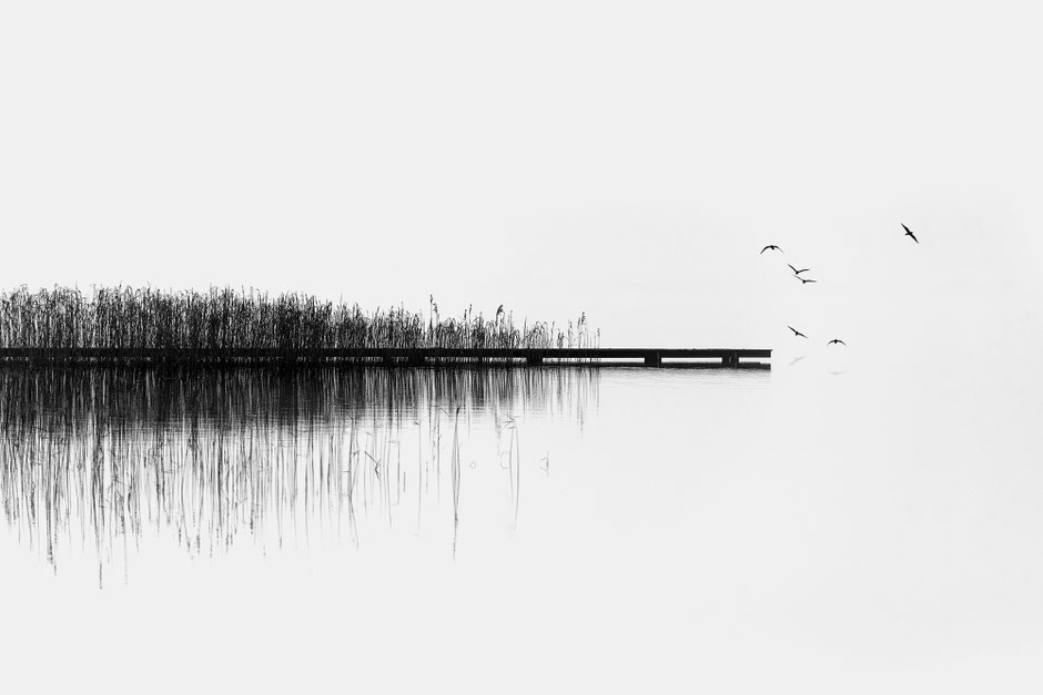 Chris Tille - Der Tegernsee // #241 