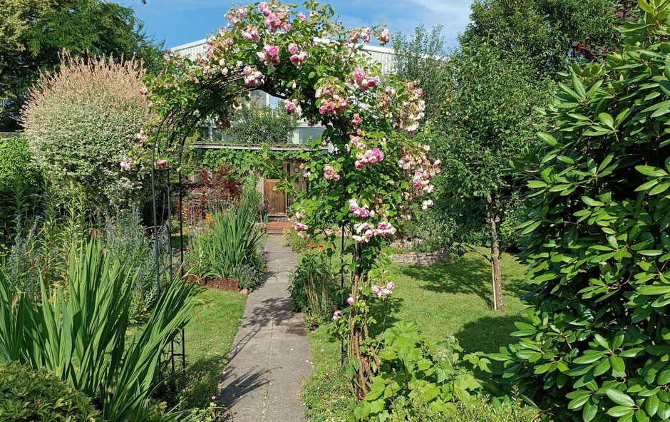 Gartenweg mit Randbepflanzung in kleinen Beeten