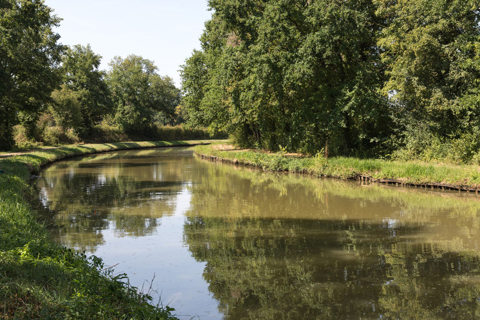 Natur pur: immer am Canal du Nivernais entlang