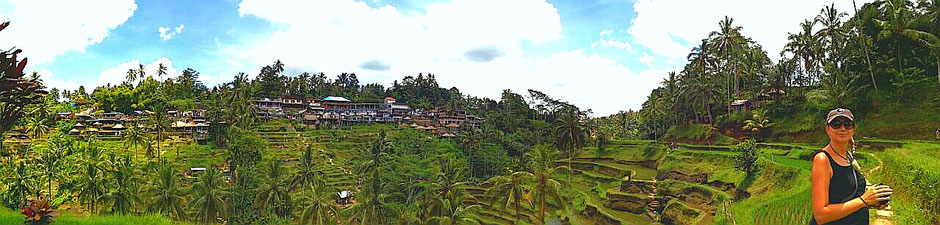 Weltreise, Travel, Backpacker, Bali, Asien, Ubud, Reisterrassen, Palmen, Urlaub, Langzeitreise