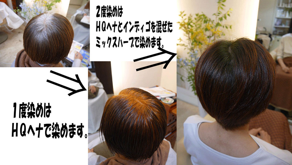 Hqヘナ ハーブ 化学物質ゼロ 自然 美容室 Reset リセット いりなか Hqヘナ ハーブ 化学物質ゼロ 自然 美容室 Reset リセット いりなか