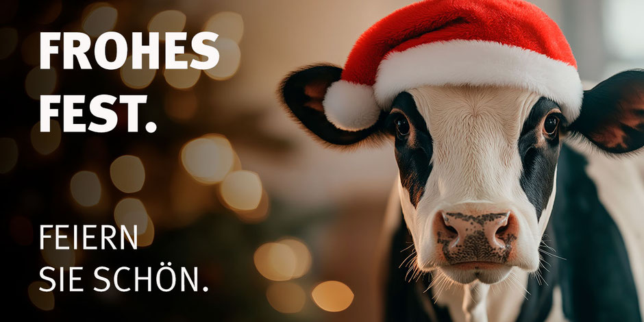 Schwarzbunte Kuh mit Weihnachtsmütze