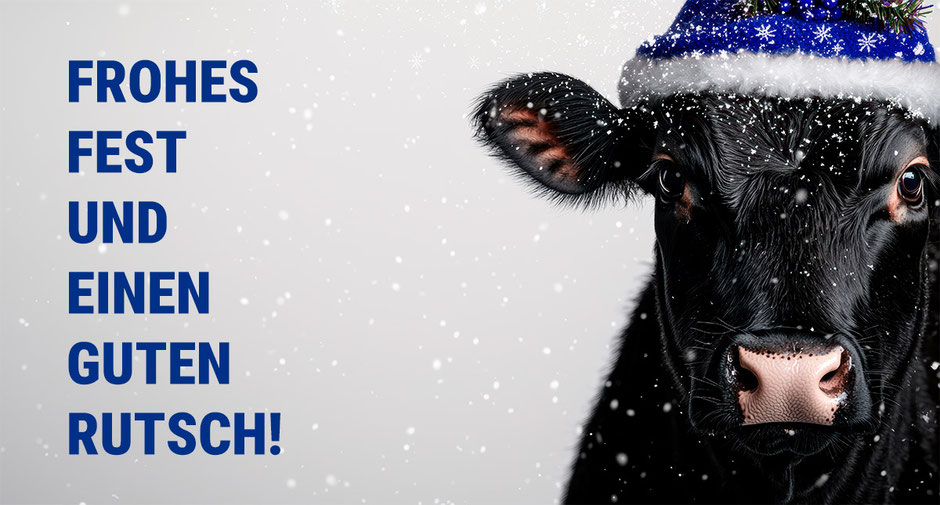 MENKEN | DREES wünscht Frohe Weihnachten und einen Guten Rutsch