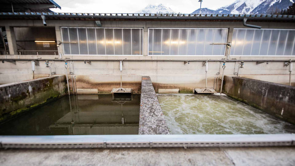 Fehlende Belüftung in einem der Becken der CN-Stufe