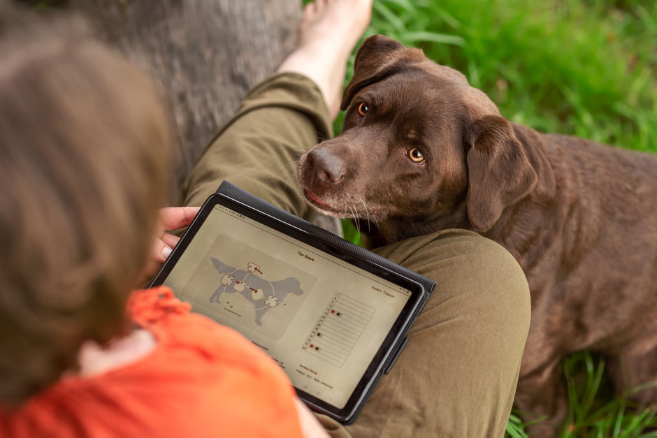 Mammalian Design Chart auf Tablet neben Seniorhund Labrador, Persönlichkeitsanalyse für Hunde