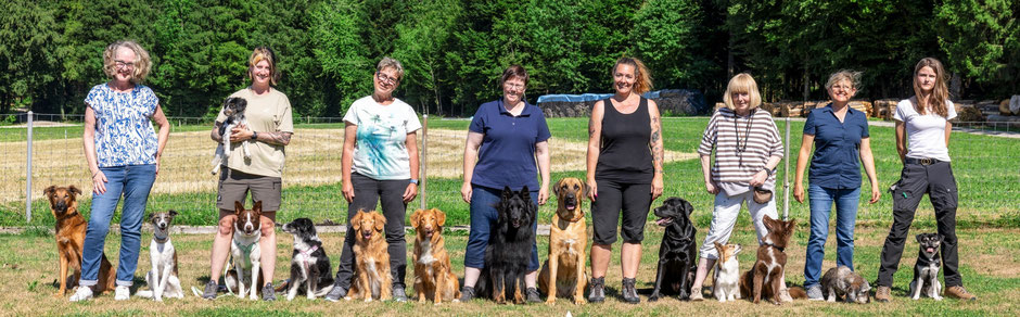 Willkommen bei gooddog - Individuelles Training für beste Freunde 🐾