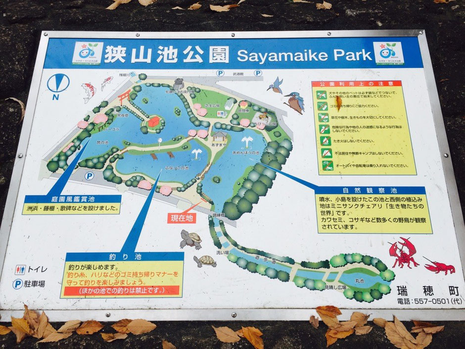 Map of Sayamaike Park (Sayama pond park) Tokyo Mizuho nature headwater Zanbori river walking tourist spot TAMA Tourism Promotion - Visit Tama　狭山池公園　案内図　東京都瑞穂町　自然　散策　残堀川水源地　観光スポット　多摩観光振興会