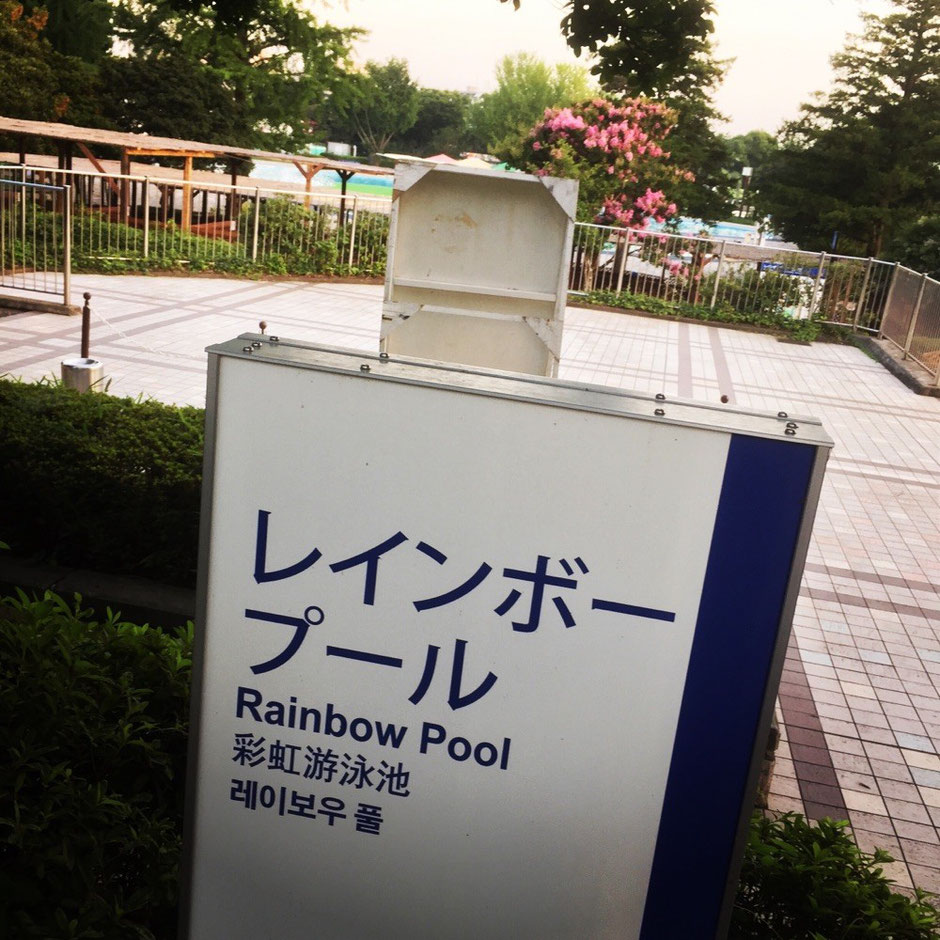 Rainbow Pool at Showakinen Park Tokyo Tachikawa & Akishima summer sports swimming activity leisure tourist spot TAMA Toursim Promotion - Visit Tama　昭和記念公園　レインボープール　東京都立川市＆昭島市　夏　スポーツ　アクティビティ　レジャー　観光スポット　多摩観光振興会